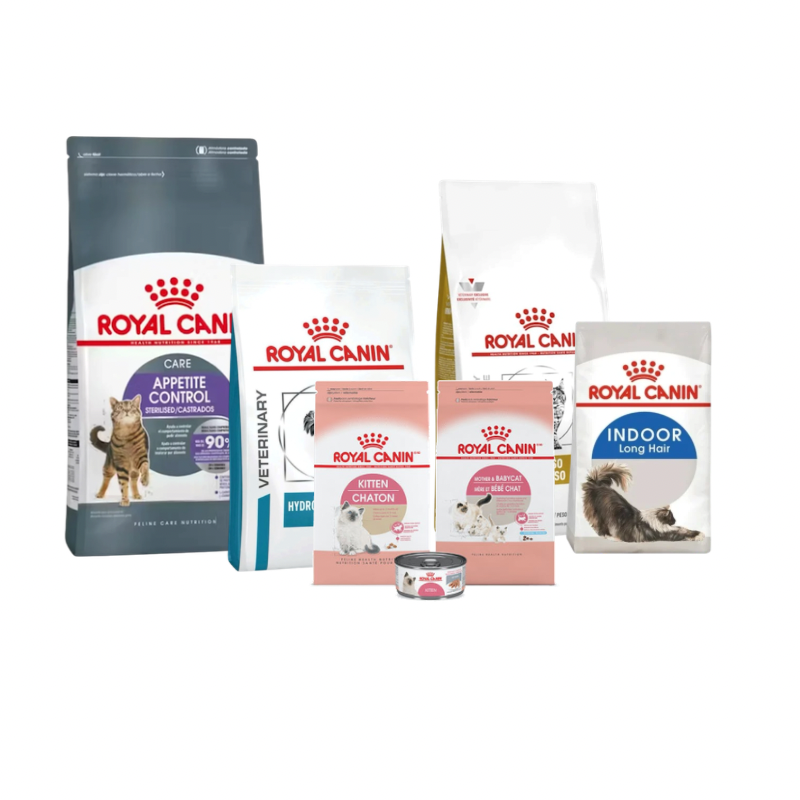 ROYAL CANIN PARA GATOS