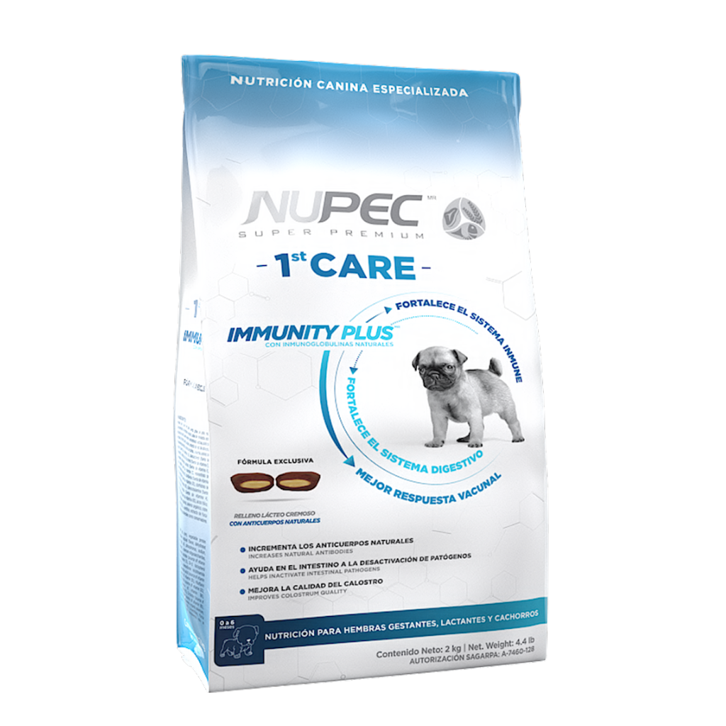 FIRST CARE