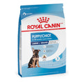 ROYAL CANIN LARGE PUPPY