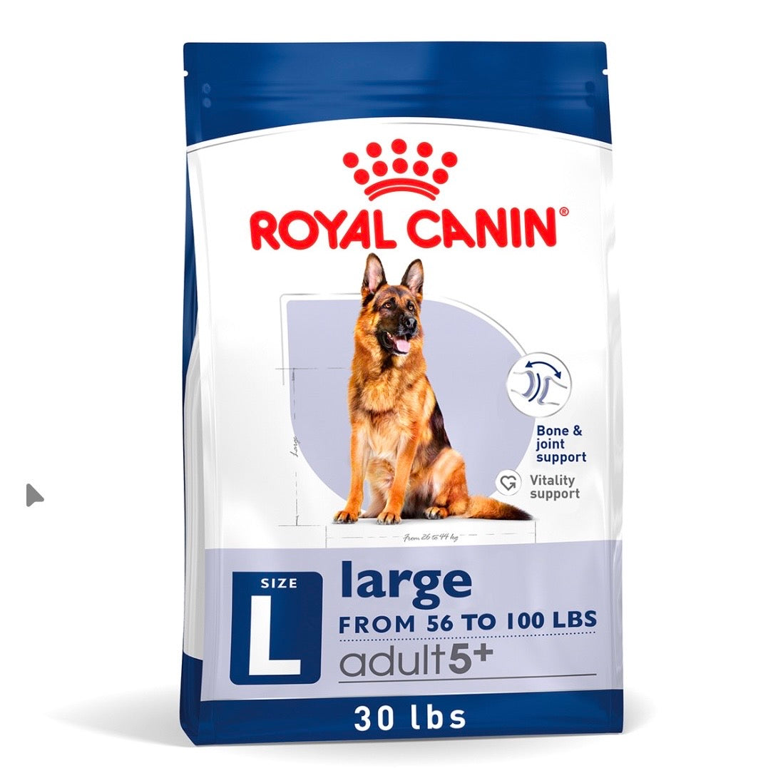 ROYAL CANIN LARGE 5+ AGING ADULT
